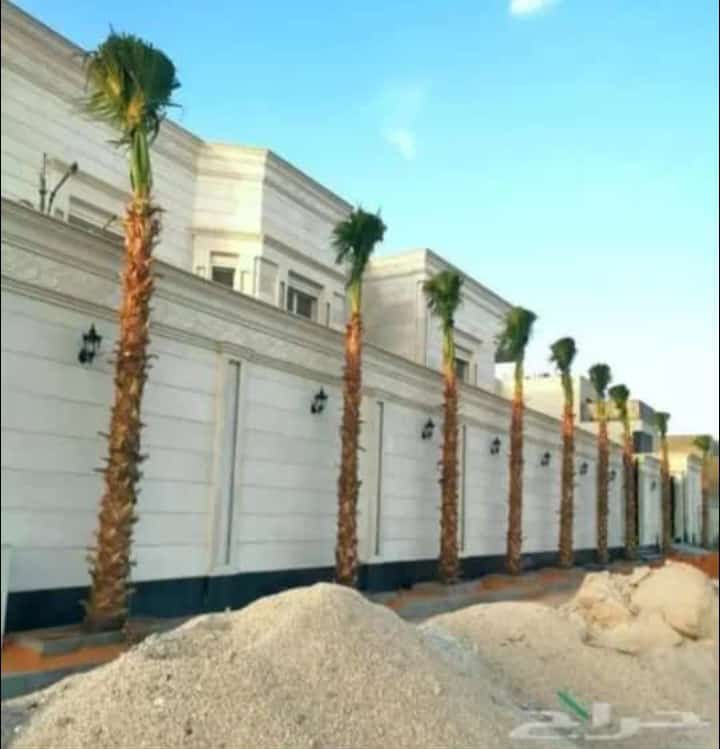 توريد وغرس جميع انواع النخيل الزينة والمثمرة يشمل