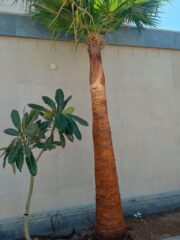 8c3e4f83-f431-4ae1-aa18-a3615cc748d5