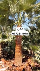 911f201b-54c7-4519-8ac8-17e0c8ff4986