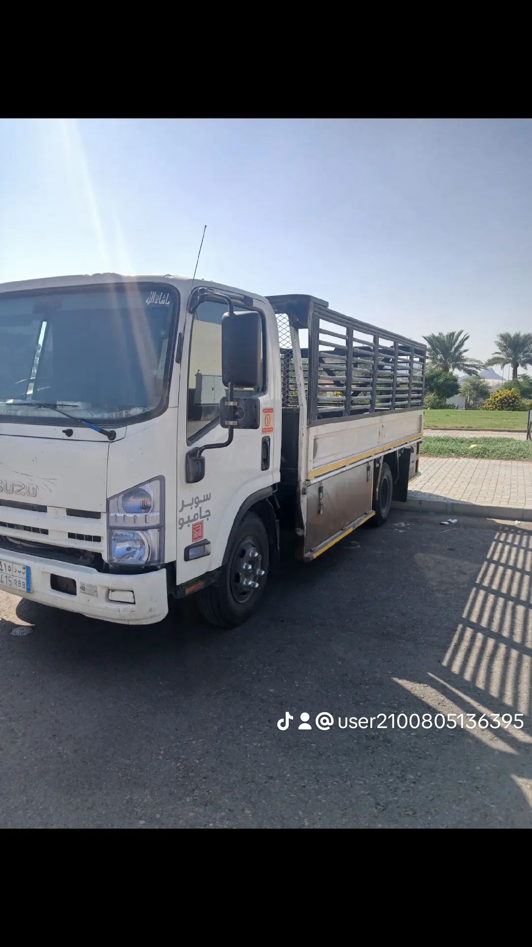 ديانا مشوار جميع مدن المملكة