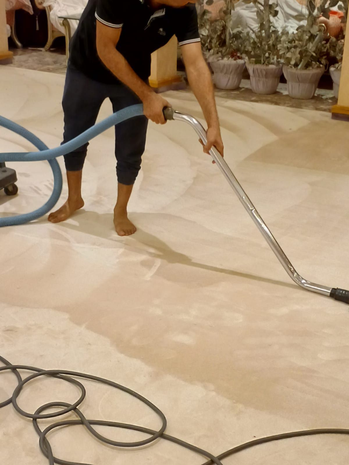 المدينة المنورة