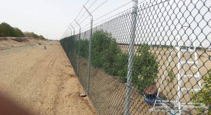 مقول شبوك تبوك 0563304227