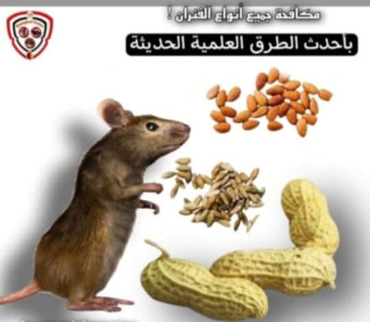 المركز الالماني لمكافحة الحشرات