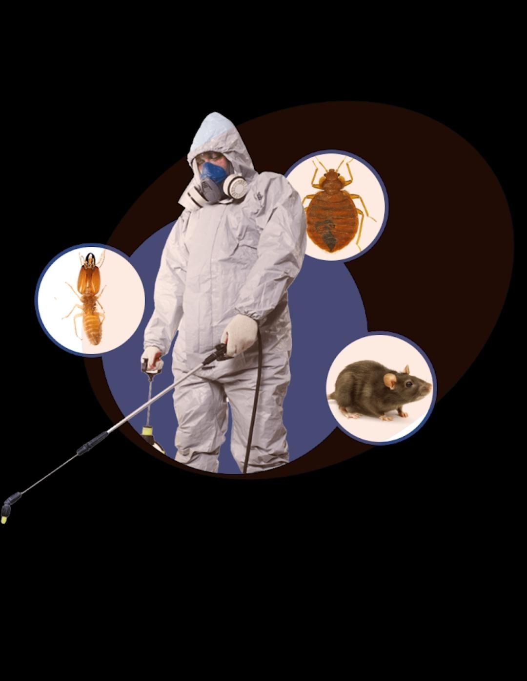 شركة تنظيف نظافة فلل شقق غسيل خزانات مجالس وكنب وم