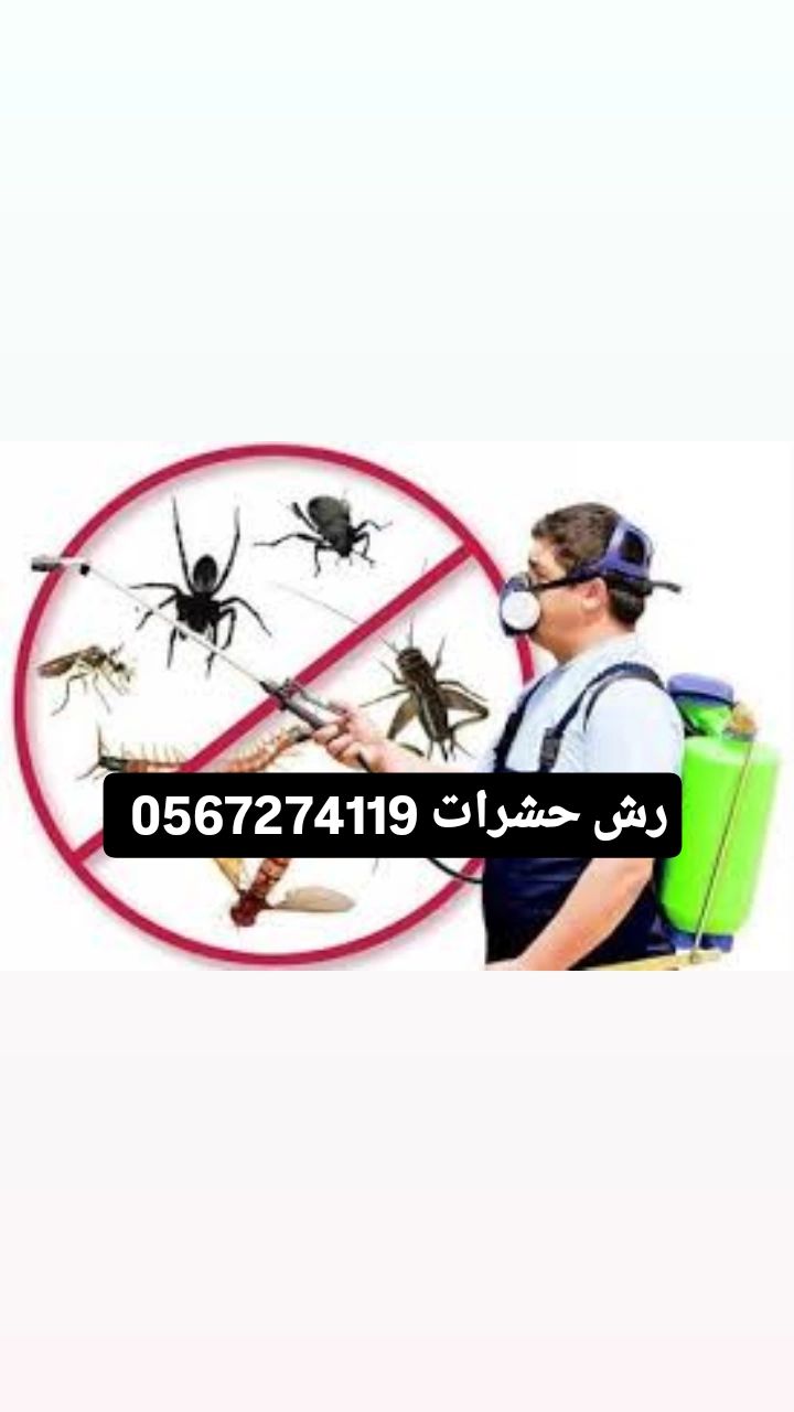 رش حشرات الصراصير والبق بالمدينة المنورة 056727411