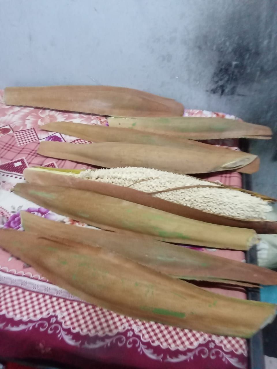 لقاح النخله الواحده 100 ريال شراء القرف الواحد ب 5