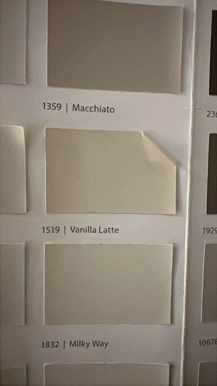 معلم دهانات الرياض