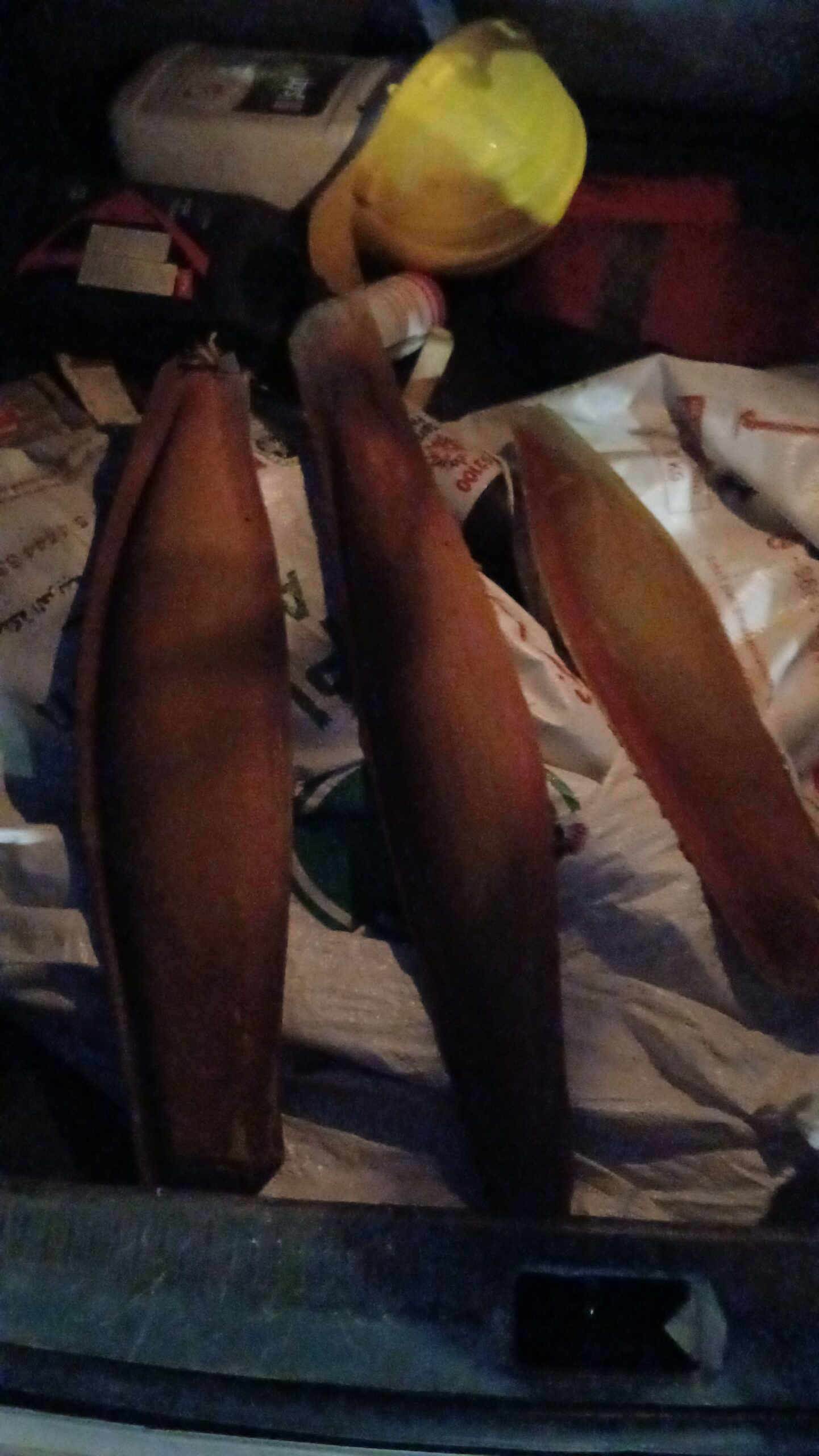 لقاح النخله الواحده 100 ريال شراء القرف الواحد ب 5