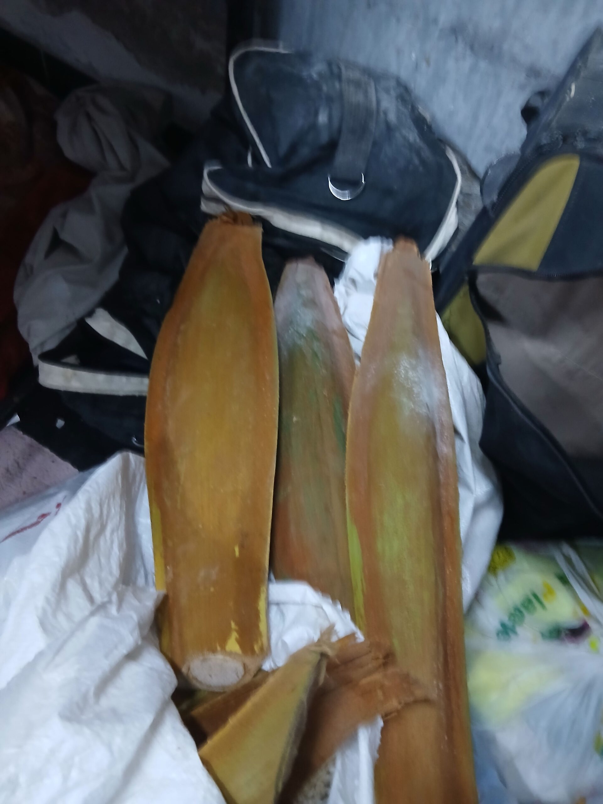 لقاح النخله الواحده 100 ريال شراء القرف الواحد ب 5