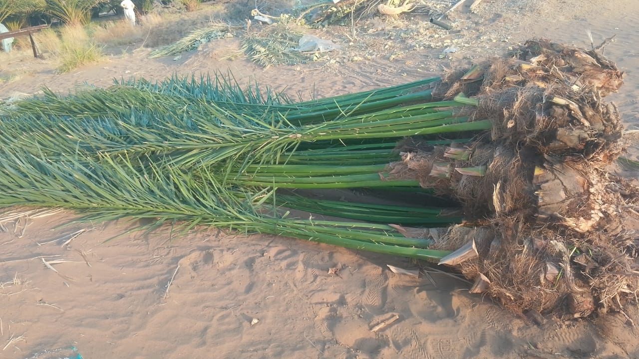 نوصل الا انحاء مملكه وتصدير الامارات الكويت البحري