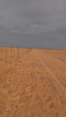 71ee7411-41f9-47b7-9482-b7e94b315097