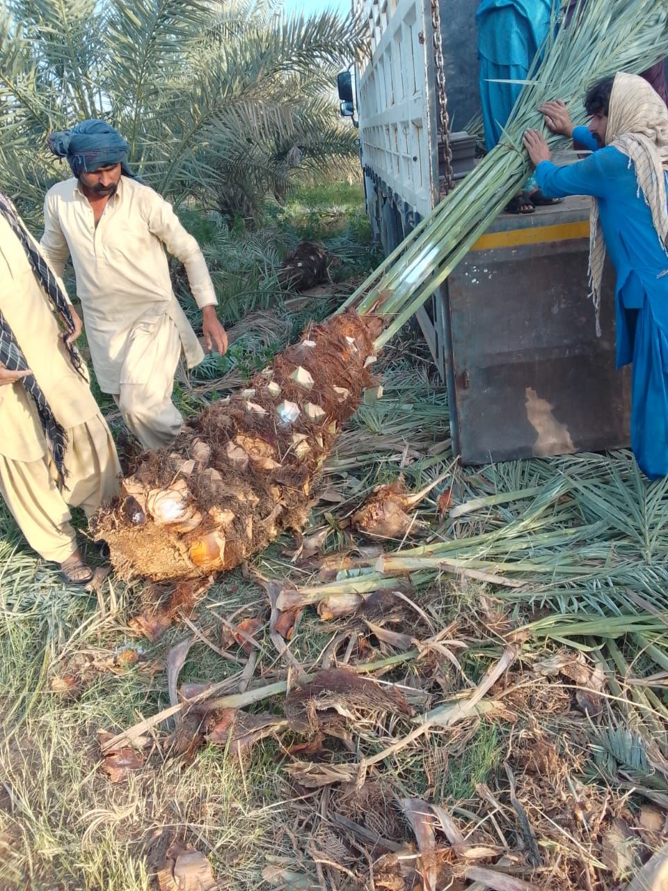 نوصل الا انحاء مملكه وتصدير الامارات الكويت البحري