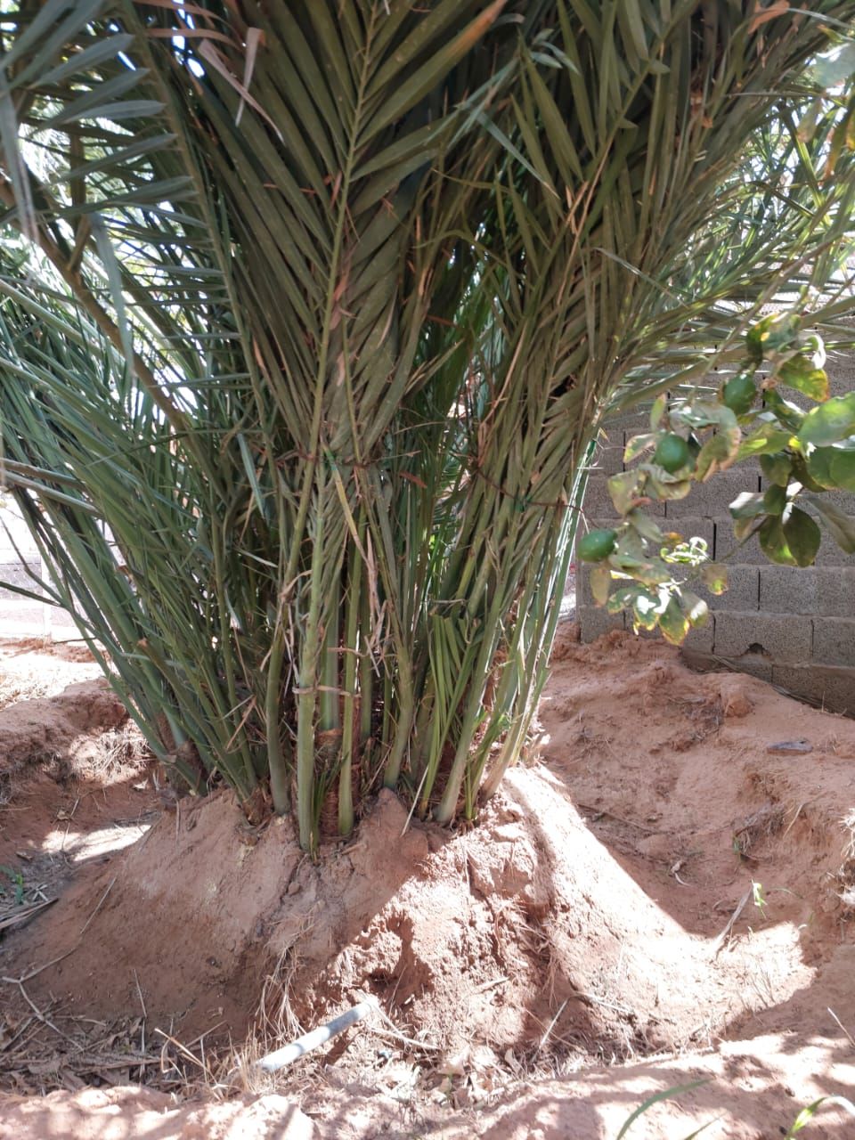 نوصل الا انحاء مملكه وتصدير الامارات الكويت البحري