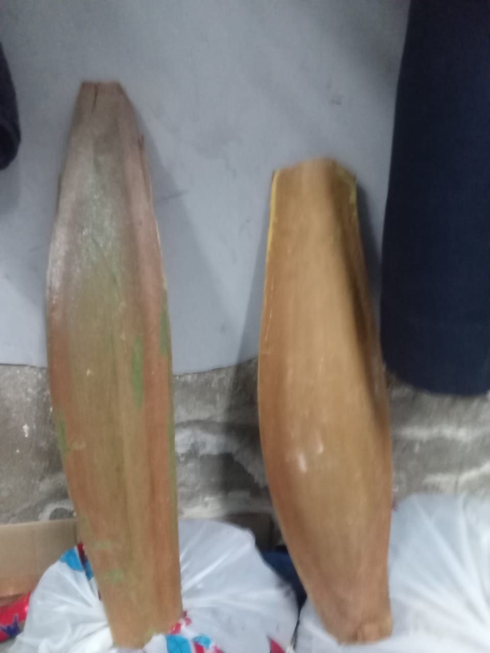 لقاح النخله الواحده 100 ريال شراء القرف الواحد ب 5