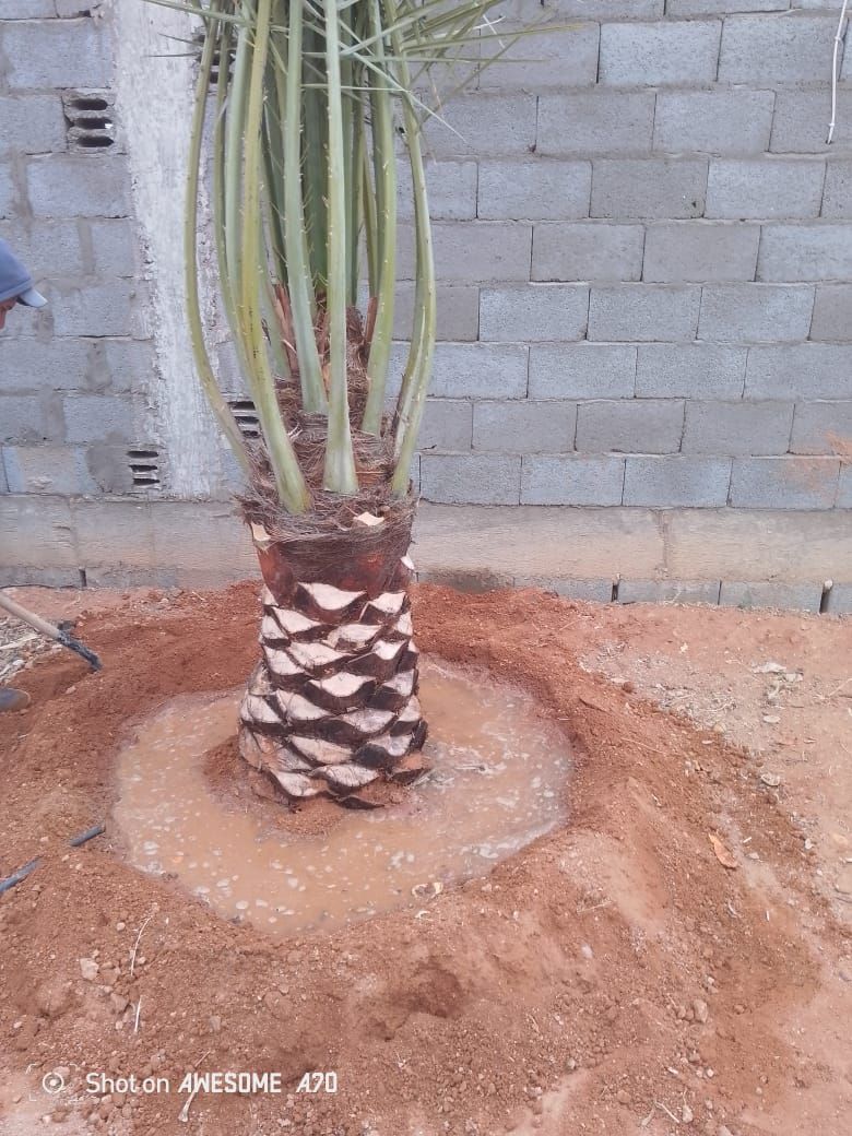 نوصل الا انحاء مملكه وتصدير الامارات الكويت البحري