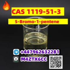 CAS-1119-51-3-2