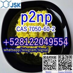 P2NP-CAS-705-60-2-Telegram@jskchem-1