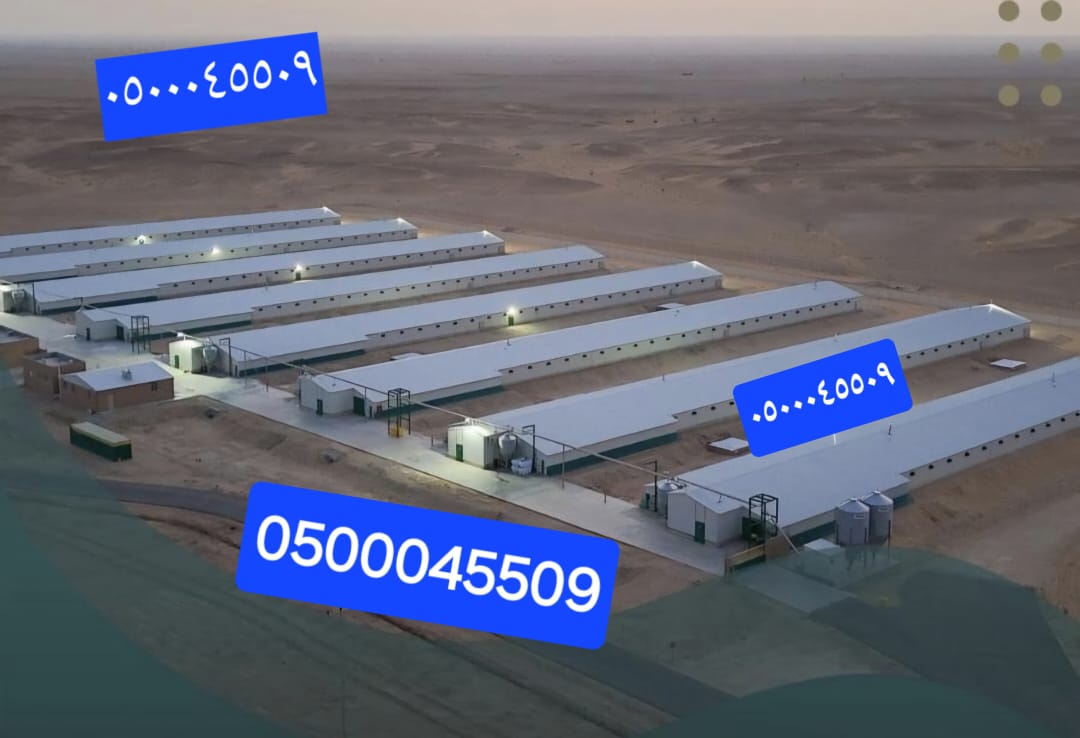 مقاول حظائر دواجن