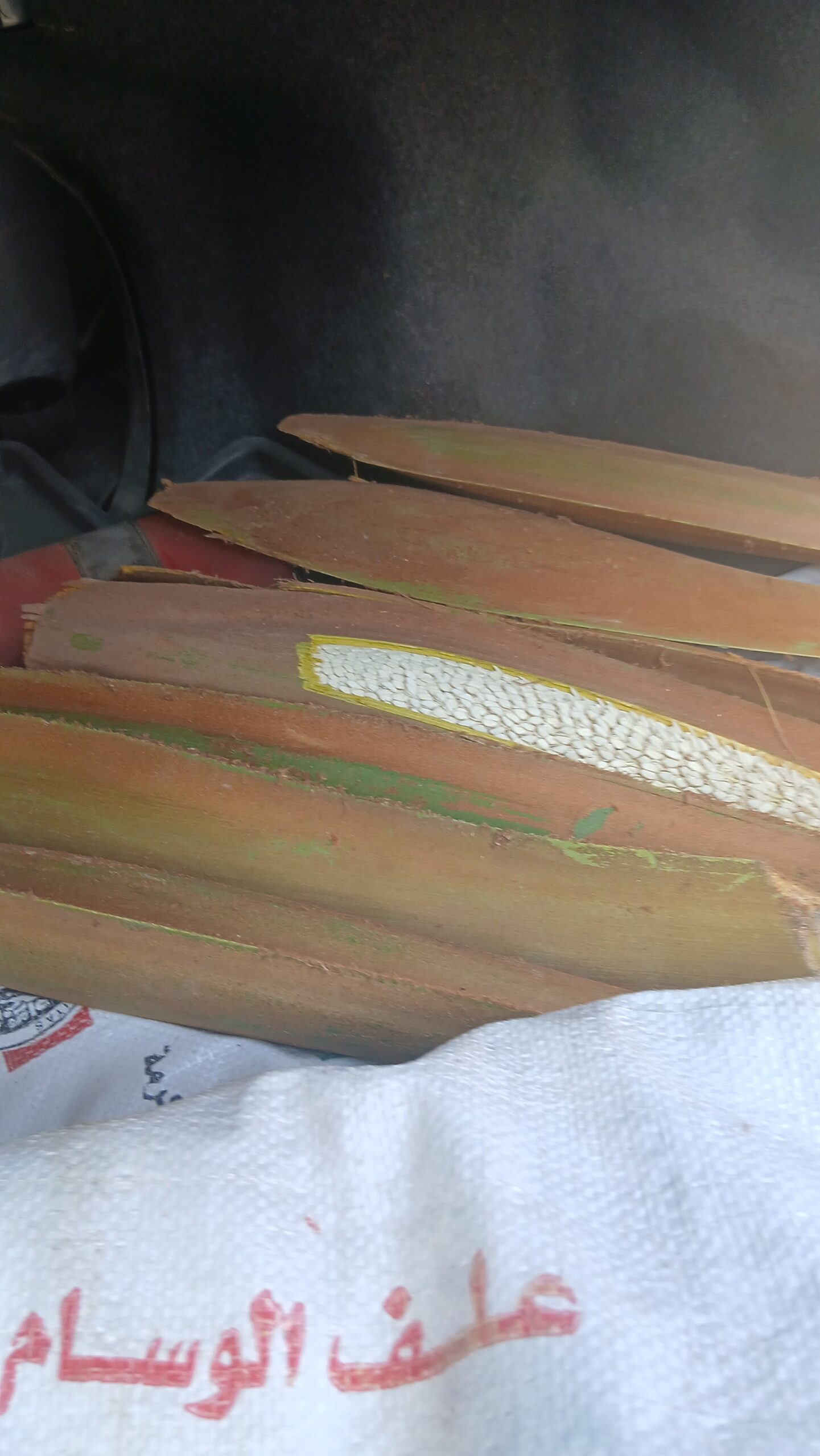 لقاح النخله الواحده 100 ريال شراء القرف الواحد ب 5