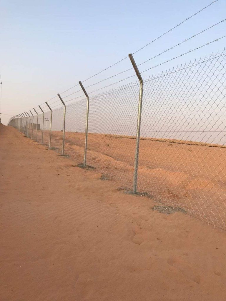 توريد جميع انواع النخيل الزينة والمثمره وتوريد وتر