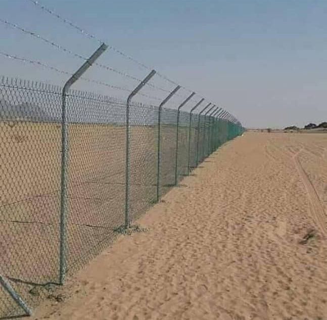 توريد جميع انواع النخيل الزينة والمثمره وتوريد وتر