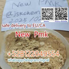 new-pmk-cas-28578-16-7