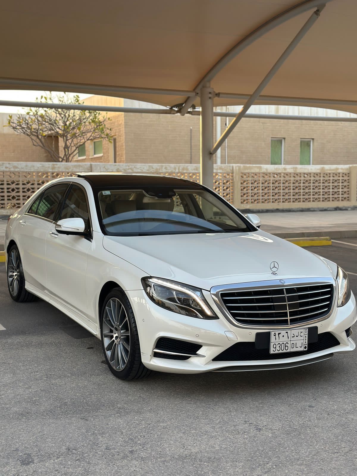 المدينه المنوره