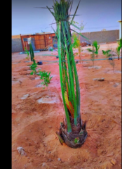 10208eb5-4318-4bb9-b47c-690524b1ee99