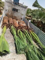 4d635df5-c929-4620-8281-b47bffcc51af