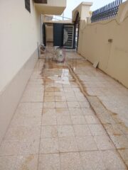 646e1e13-184b-4e6c-b254-86057cc44bfd