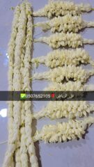 b9c2ee2c-a294-494a-9a5f-a977d3aef2e6