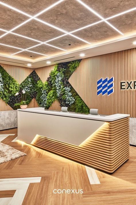 الجمال الخلاب لنجار والديكورات