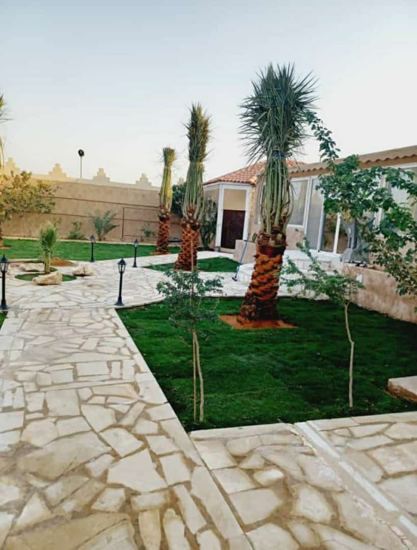 توريد النخيل