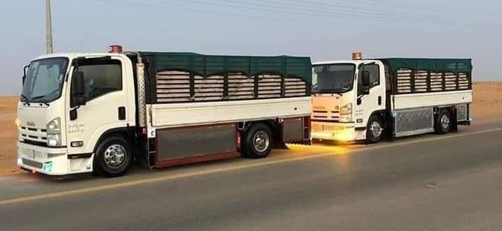 دينا نقل عفش بالرياض