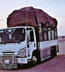 ec180b3e-94e5-48db-9f41-5668cc5b6848