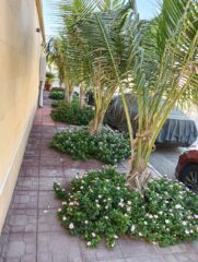 fe6a11b6-a717-45fb-8f08-86e4d6fbb054