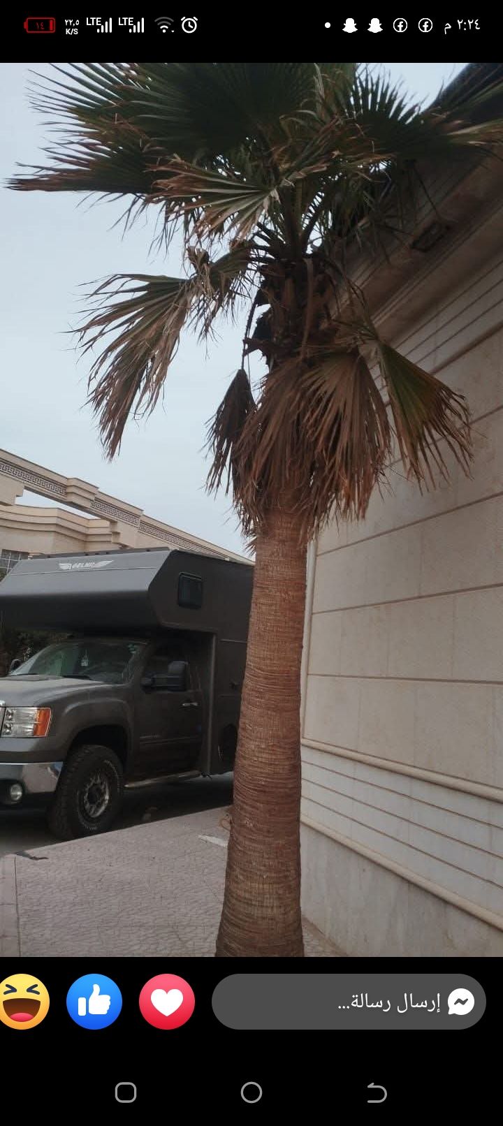 مقاول شبوك ونخيل