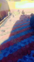 40fa4ec7-a74d-4ddf-a67a-29d8a60cfc25