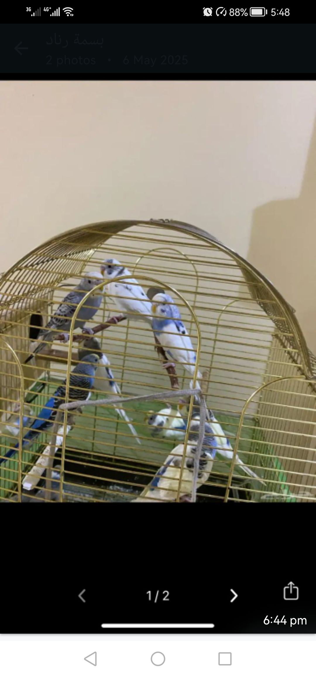 جدة حي المنار