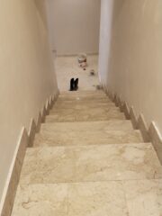 ac5b237c-fee8-456a-acbf-7ef57349758c