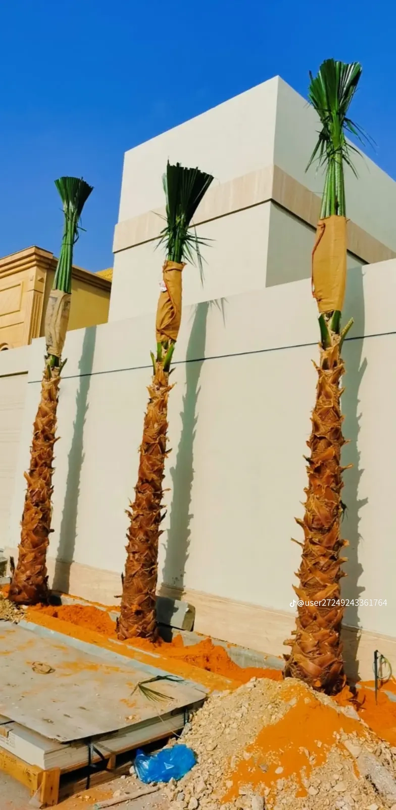 مقاول شبوك ونخيل