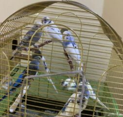 e0a5b9ea-4137-4b6e-9e08-a3ea44b7e325