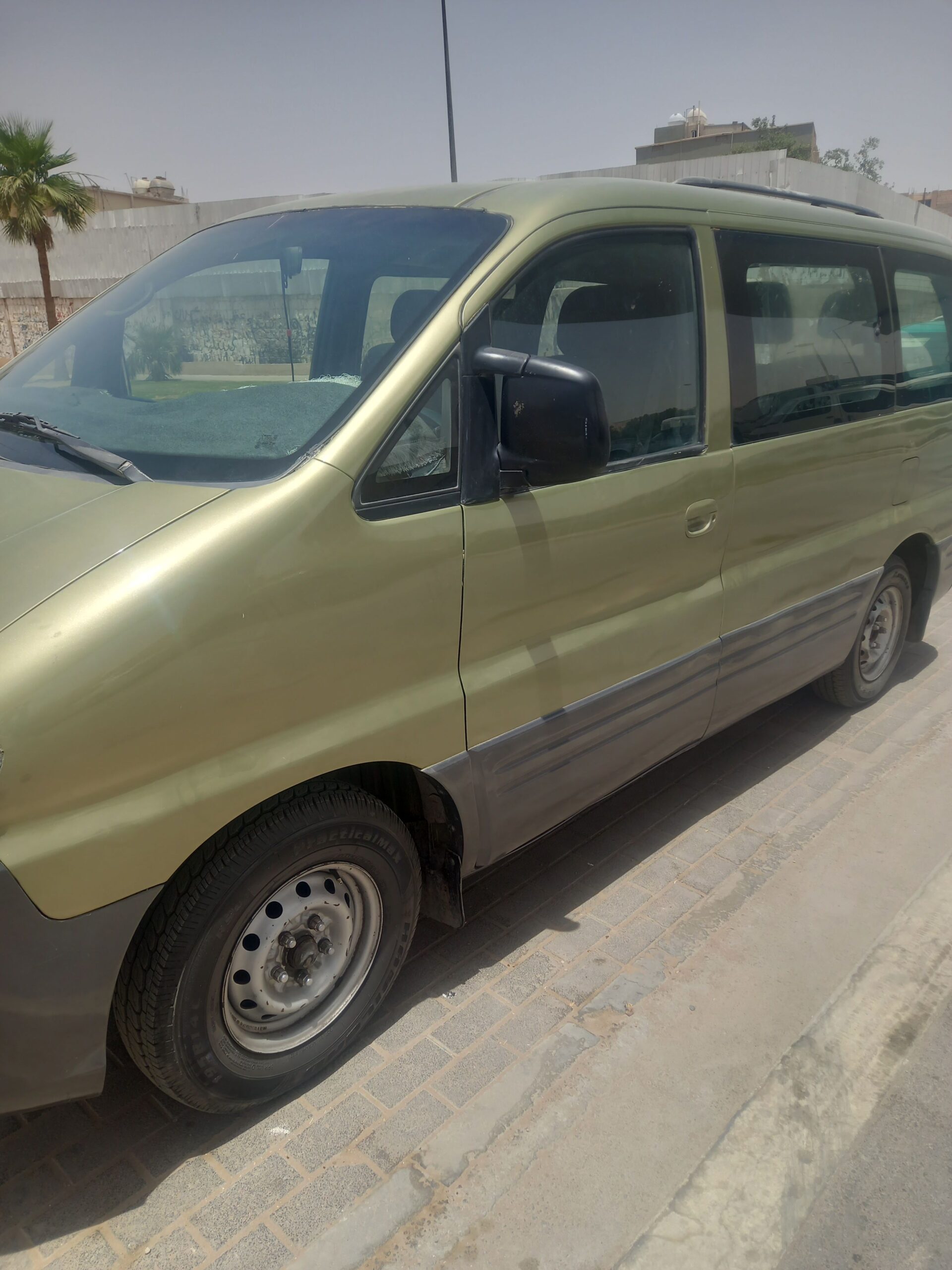 الرياض المنفوحة الجديدة