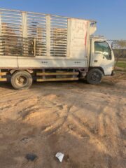 172ca0cd-2c9b-47ee-afc8-4e9a1050ffd8