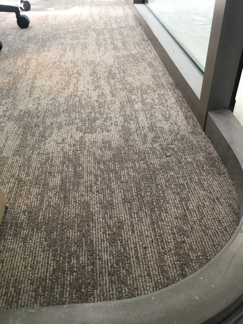 ارضيات الموكيت العصريه والحديثة