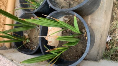 3797364A-9FA7-46DE-8FAF-2B074DFC42CD