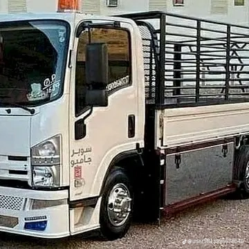 دينا طش والتخلص بالرياض