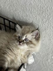 7f5ebb97-6591-4994-9a05-57e29d8dbf10