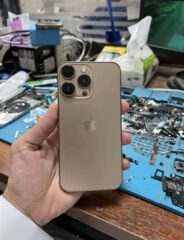 95F9D924-28A2-446F-99F5-F6E520521691