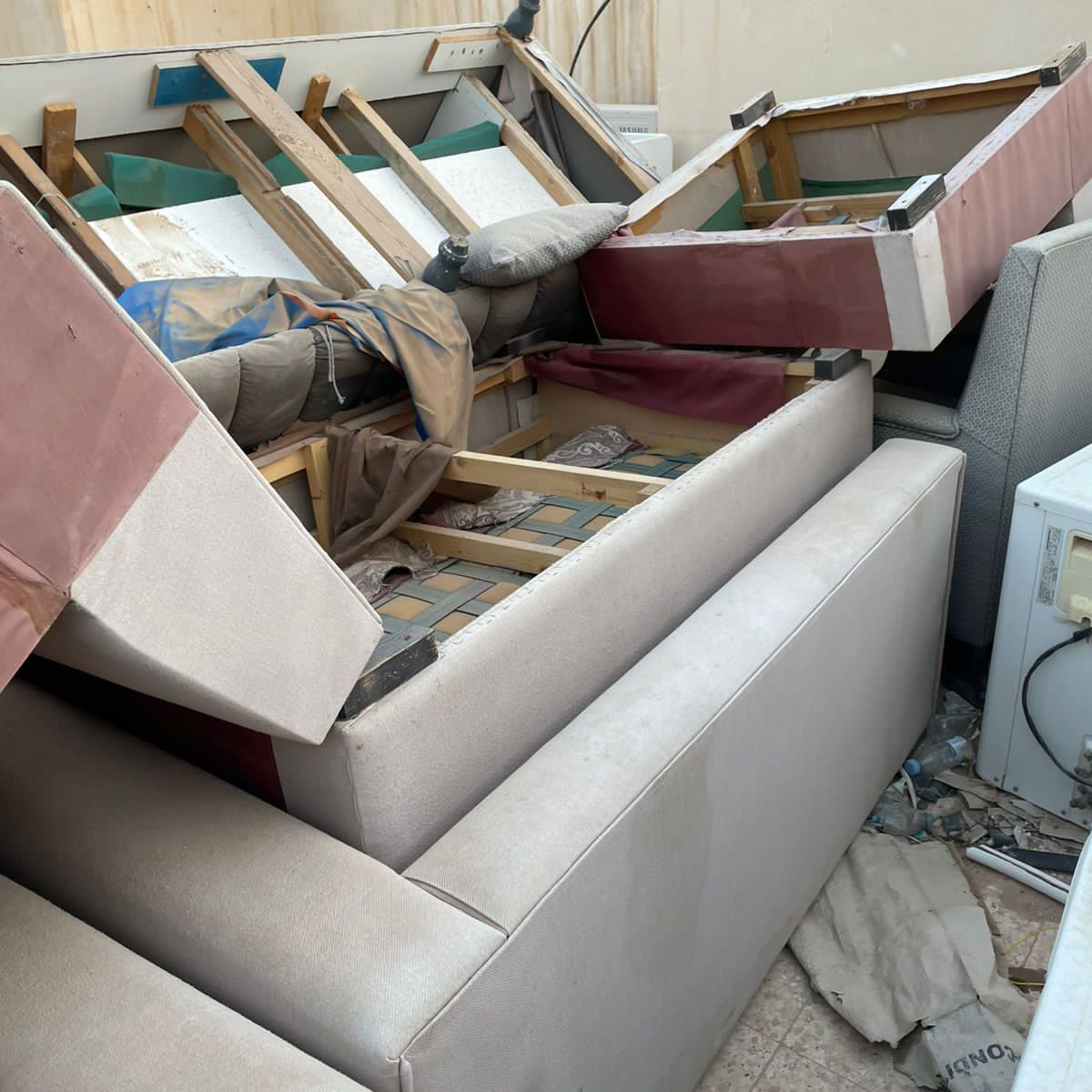 التخلص والطش بالرياض 0551977610